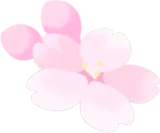 桜の花びらの実