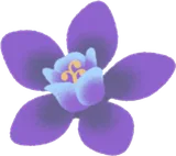 唯一の勝利の花の実