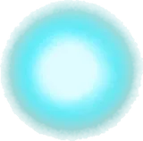 灯に集まる光虫の実
