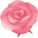 きらめく薔薇の花の実
