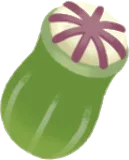 ワイルドフラワーの実