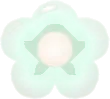 お花のキャンディの実