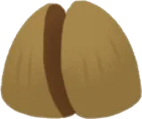 アボカドの種の実