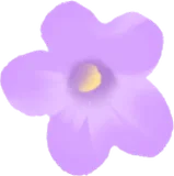 ラベンダーの花の実