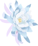 月下美人の実