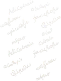 研究ノートオーラ