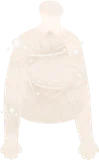 まとわりつく蜘蛛の巣