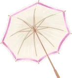 気品のある白い日傘