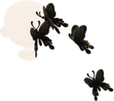 灰雲から現れる黒蝶