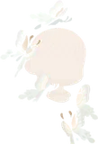 光をまとった白蝶