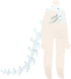 ゴーストブライドのホネホネアクセ