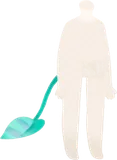 トゲフラワーの葉の尻尾