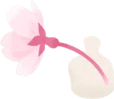 肩乗せ枝垂桜の花