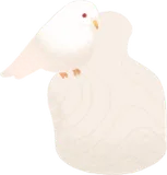 白い鳩・一休み
