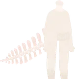 見慣れない形の尾骨