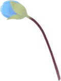 春を待つミスミソウ