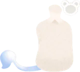 フェザームーテイル