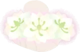 ニゲラの首飾り