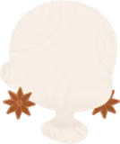 スターアニスのピアス
