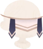 砂漠の目隠し