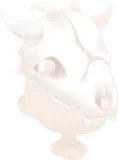 謎の頭蓋骨