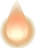 温かいともしび