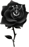 薔薇ヘッド