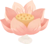 咲き誇っている蓮の花