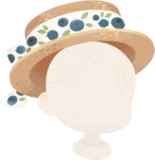 カントリーなカンカン帽