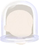専用ガラスドーム