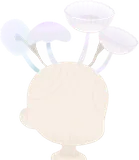 栽培用キノコセット