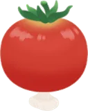 収穫したミニトマト