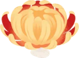 華やかな菊ヘッド