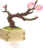 桃色梅の盆栽