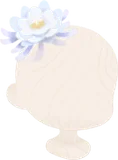 儚く咲く月下美人