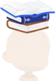 積み上げられた皇女の本
