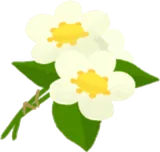 手持ちのお花
