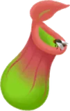 手持ちウツボカズラ