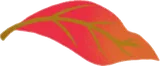紅葉した落ち葉