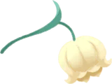摘んできた星明かりのスズラン