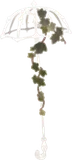 なにかの骨の傘