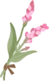 手持ちイヌタデ