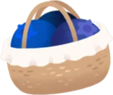 ブルーベリーを収穫したカゴ