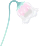摘んできた氷凛花