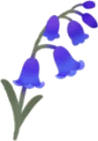 香る青い花