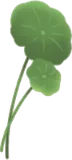 本物のような人工水草