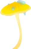 黄色のキノコ傘