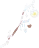 フロストツリーの杖