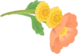 摘み取った花々