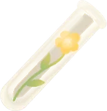 花を入れた試験管